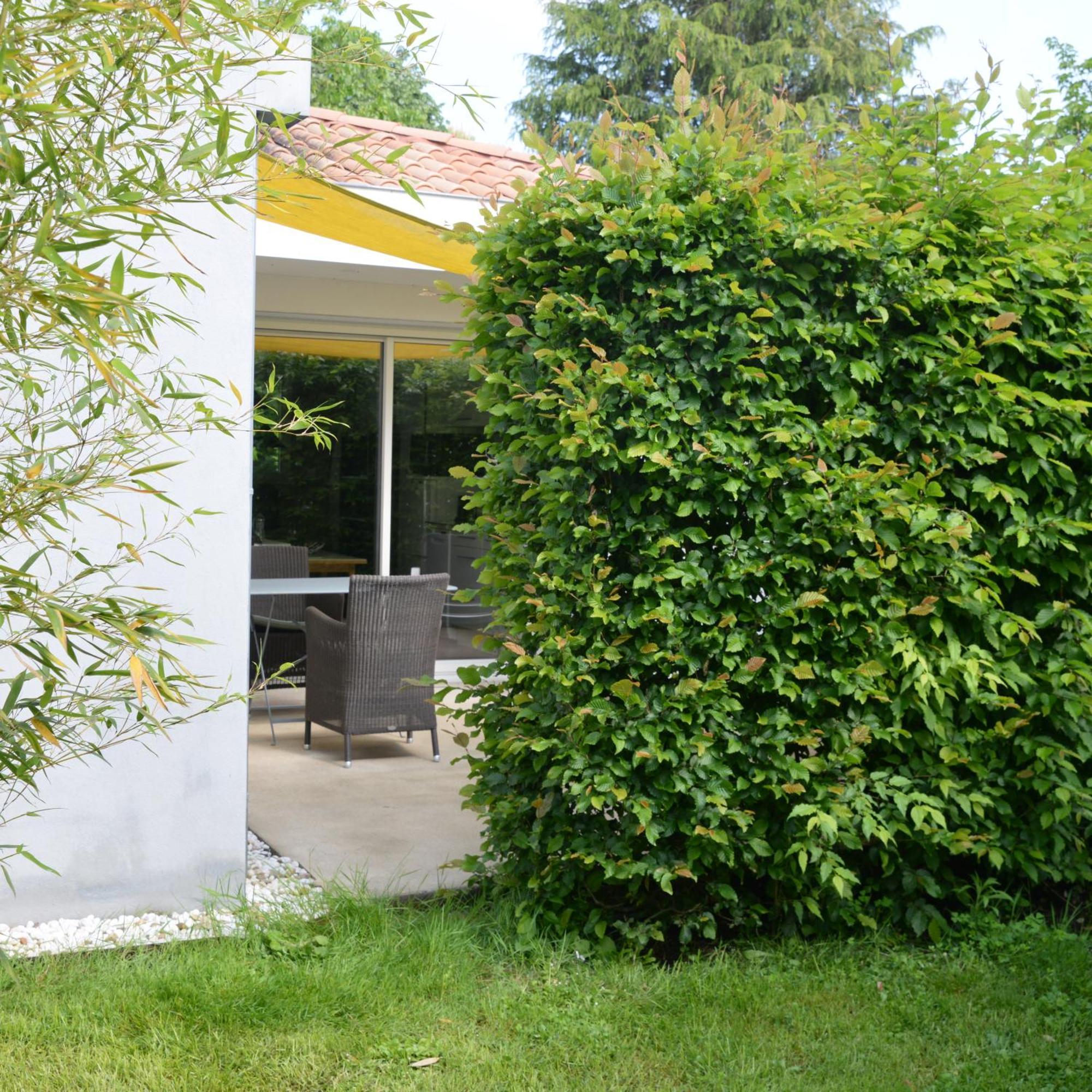 La Maison Des Herissons Bergerac Buitenkant foto